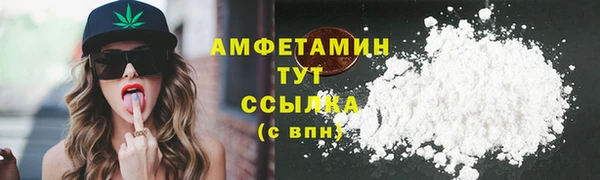 прущий лед Вяземский