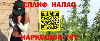 молекула духа Балахна