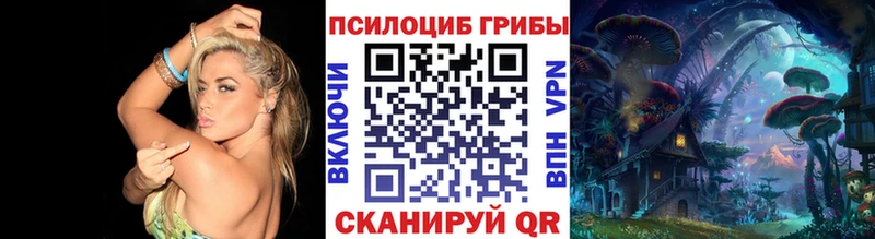 Галлюциногенные грибы Psilocybe  Ачинск 
