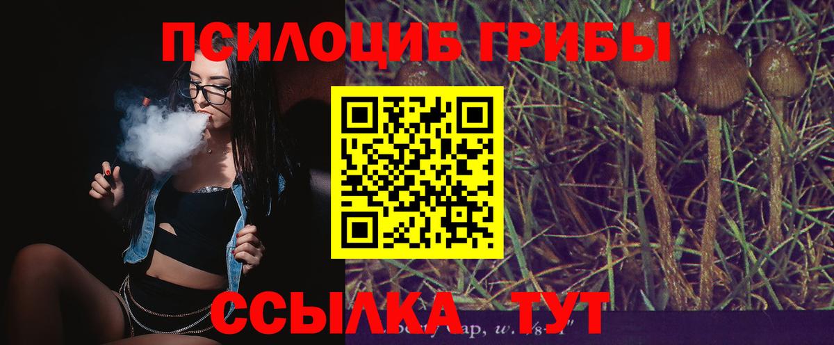 Псилоцибиновые грибы MAGIC MUSHROOMS Ачинск