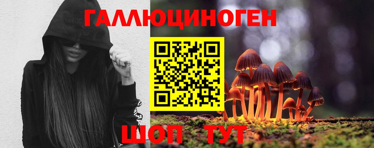 Ачинск  Псилоцибиновые грибы Magic Shrooms  Вход с VPN 
